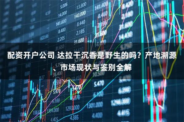 配资开户公司 达拉干沉香是野生的吗？产地溯源、市场现状与鉴别全解