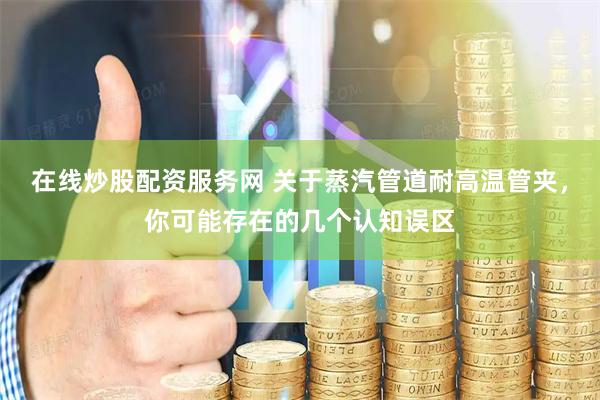 在线炒股配资服务网 关于蒸汽管道耐高温管夹，你可能存在的几个认知误区